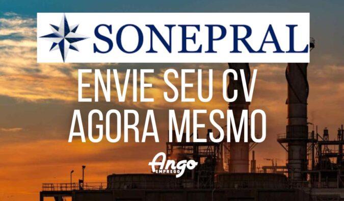 Candidatura espontânea SONEPRAL Angola 2023