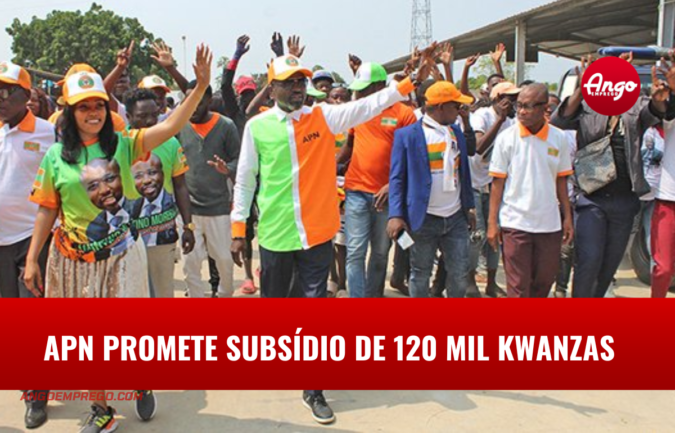APN promete subsídio de 120 mil kwanzas em caso de vitória nas eleições de 24 de Agosto