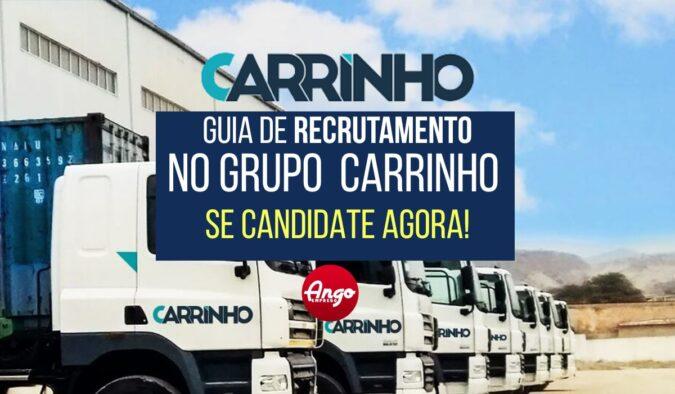 Guia de Recrutamento Grupo CARRINHO: Vagas e Candidatura Espontânea 2023