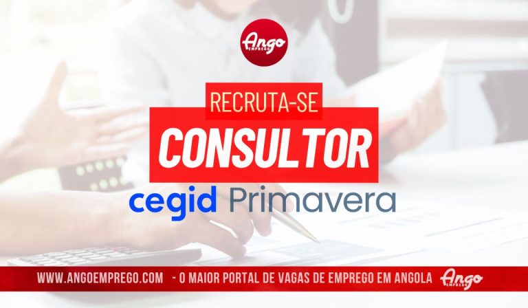 Consultor Cegid Primavera ERP